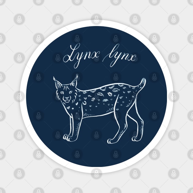 Lynx (Lynx lynx) Magnet by illucalliart